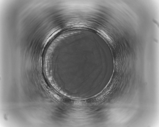 X0000093400790200711020934