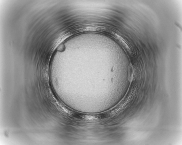 X0000093400794200711020934