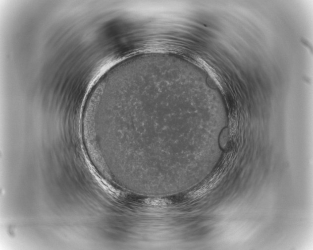 X0000093400795200711020934