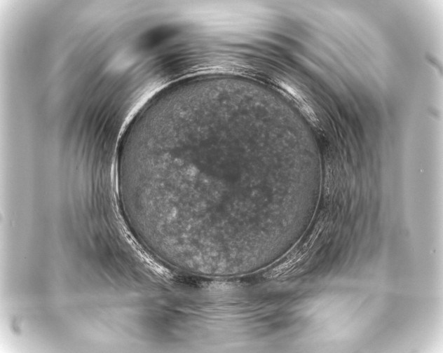 X0000093400796200711020934