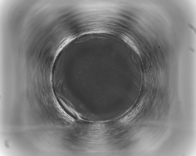 X0000093400797200711020934