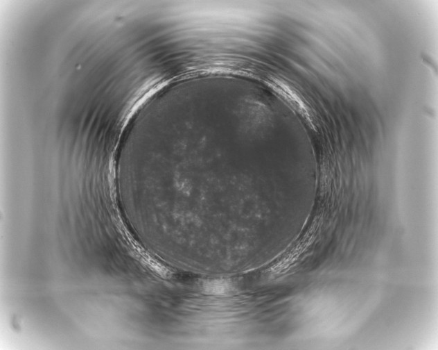 X0000093400798200711020934