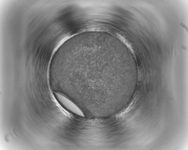 X0000093400803200711020934