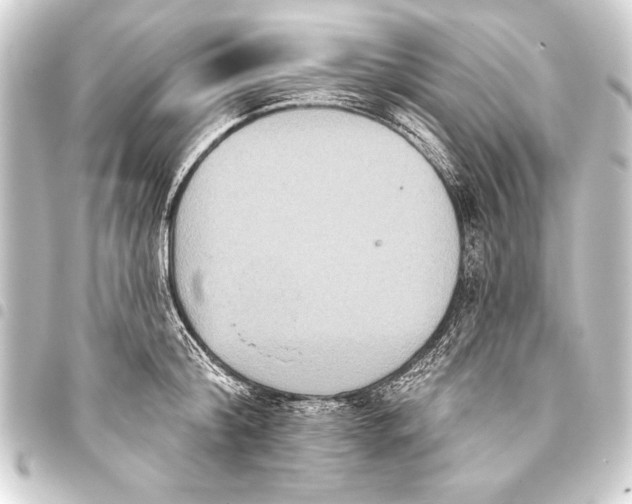 X0000093400804200711020934