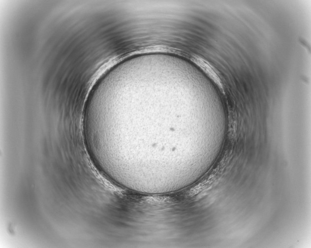 X0000093400805200711020934