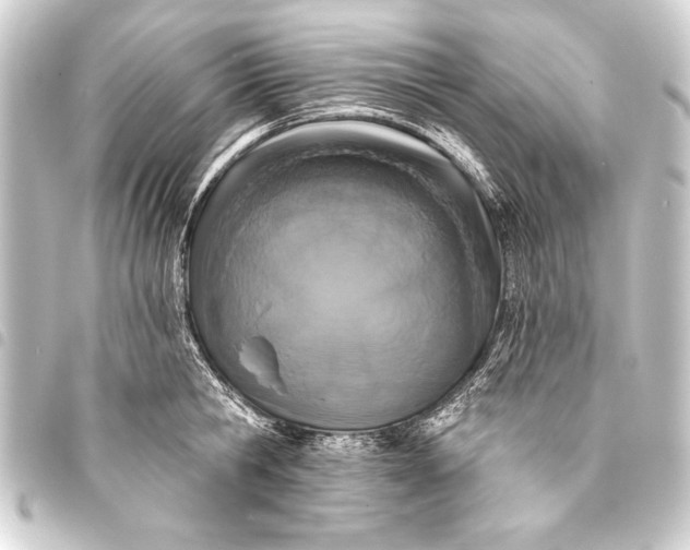 X0000093400806200711020934