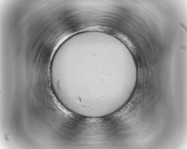 X0000093400808200711020934