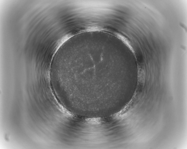 X0000093400810200711020934