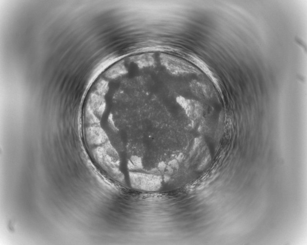 X0000093400811200711020934