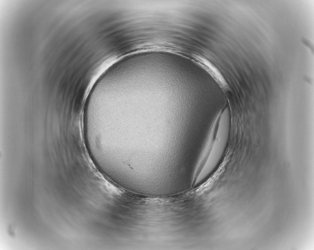 X0000093400812200711020934