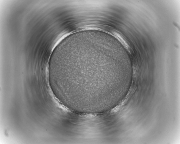 X0000093400814200711020934