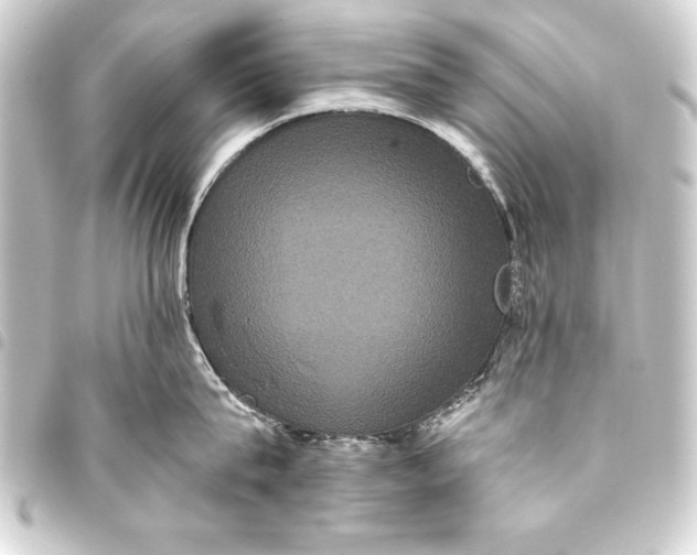 X0000093400815200711020934