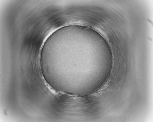 X0000093400816200711020934