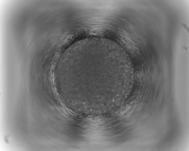 X0000093400817200711020933