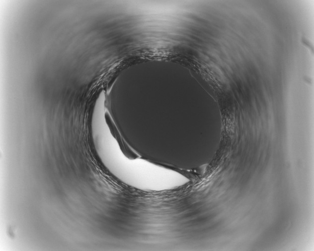 X0000093400818200711020933