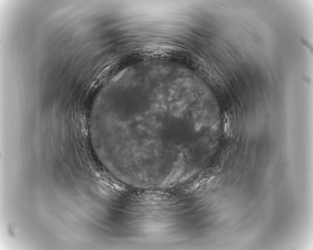 X0000093400819200711020933