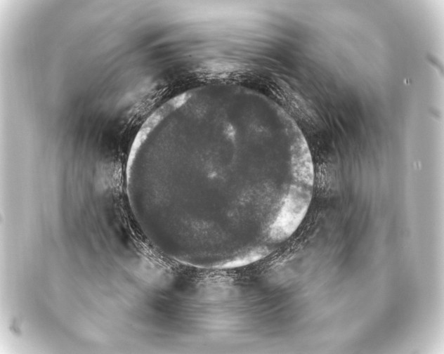 X0000093400820200711020933