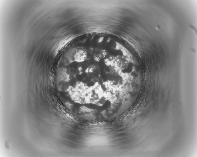 X0000093400823200711020933