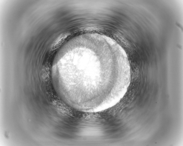 X0000093400824200711020933