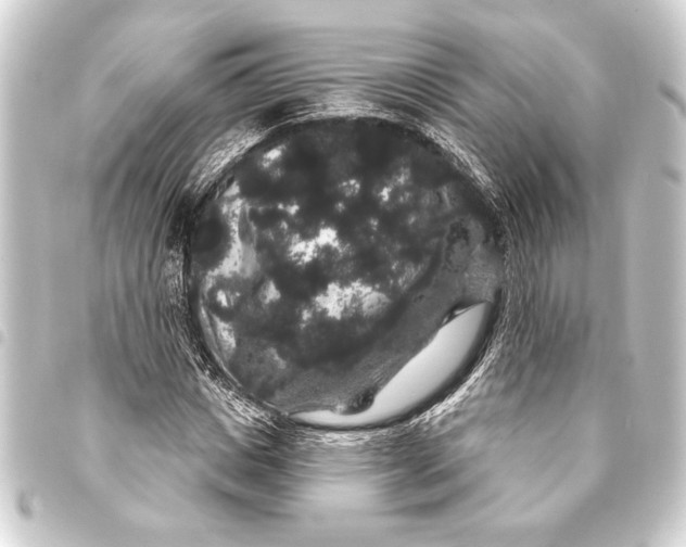 X0000093400825200711020933