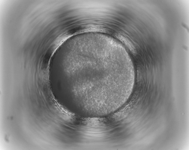 X0000093400828200711020933