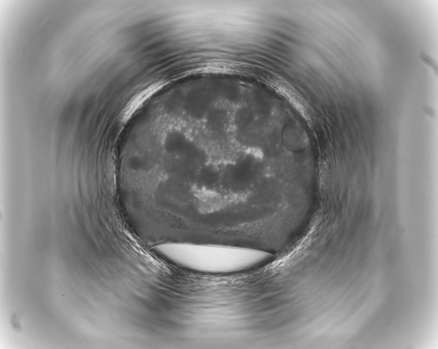 X0000093400829200711020933