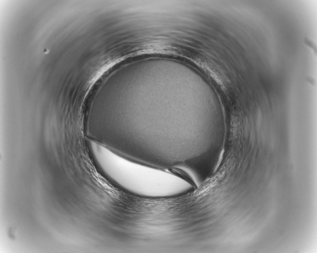 X0000093400830200711020933