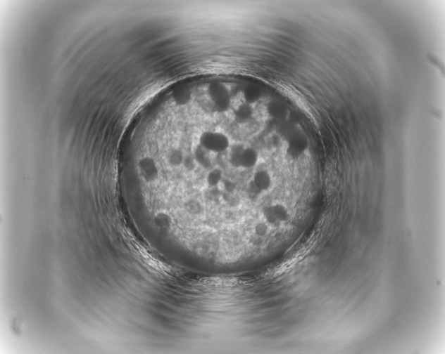 X0000093400831200711020933