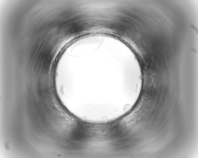 X0000093400832200711020933