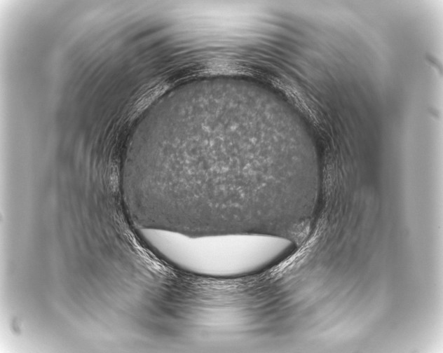 X0000093400833200711020933