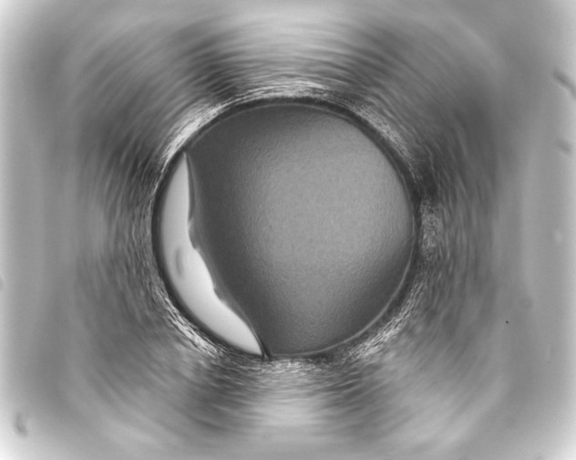 X0000093400834200711020933