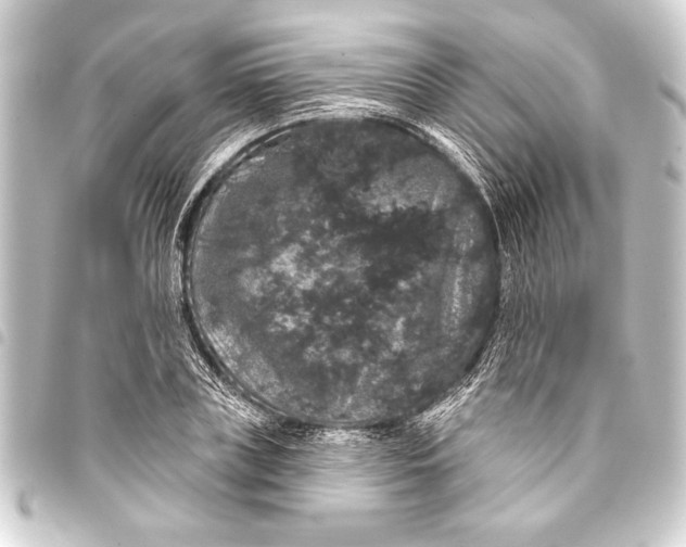 X0000093400835200711020933