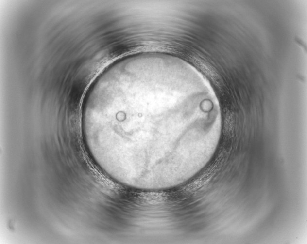 X0000093400836200711020933