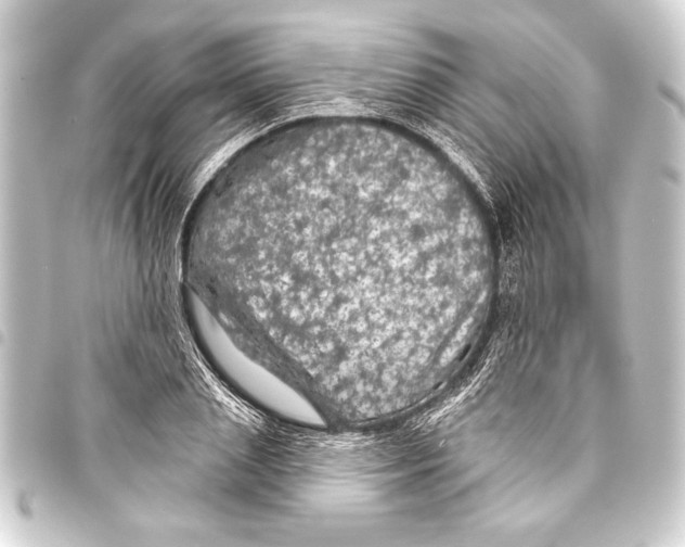 X0000093400837200711020933