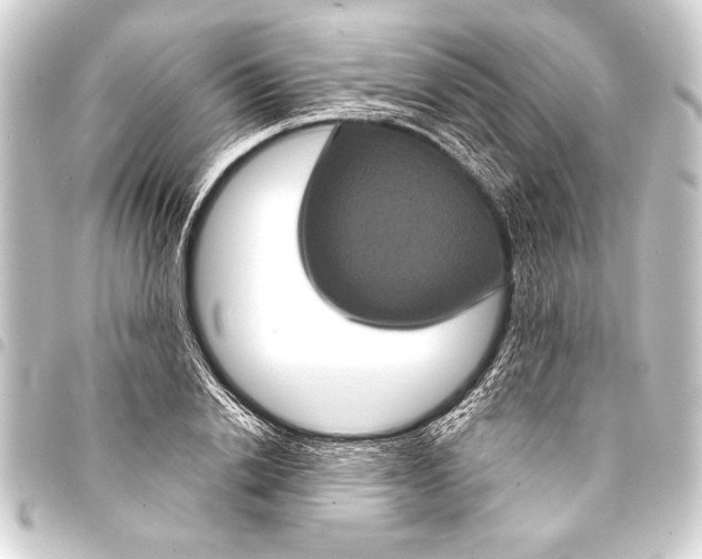 X0000093400838200711020933