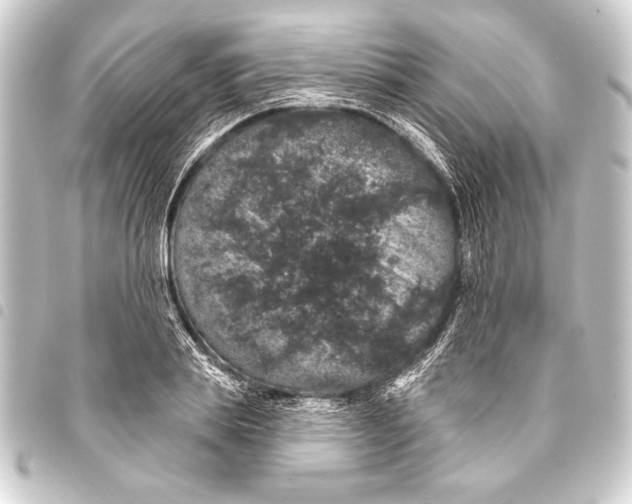 X0000093400839200711020933