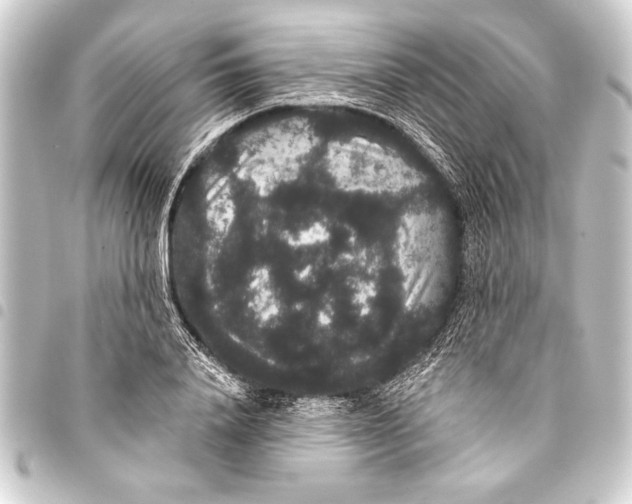 X0000093400840200711020934