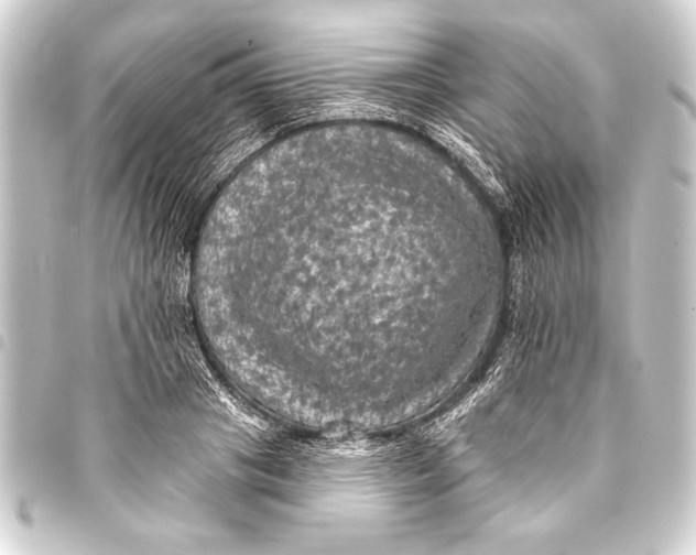 X0000093400841200711020934