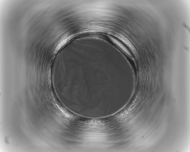 X0000093400842200711020934