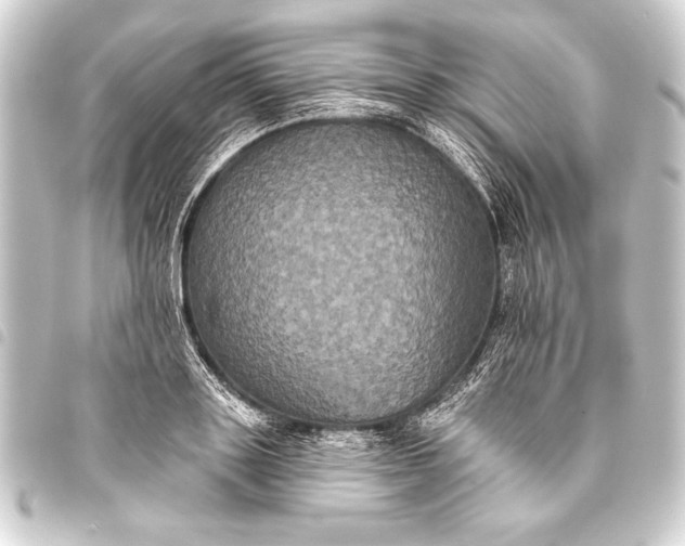 X0000093400843200711020934