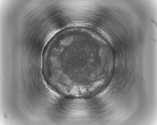 X0000093400844200711020934