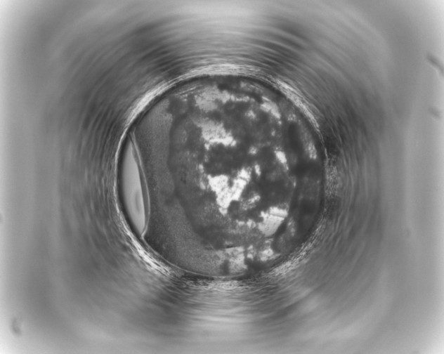 X0000093400845200711020934