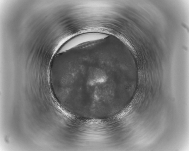 X0000093400846200711020934