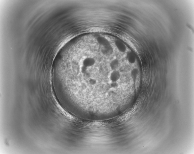 X0000093400847200711020934