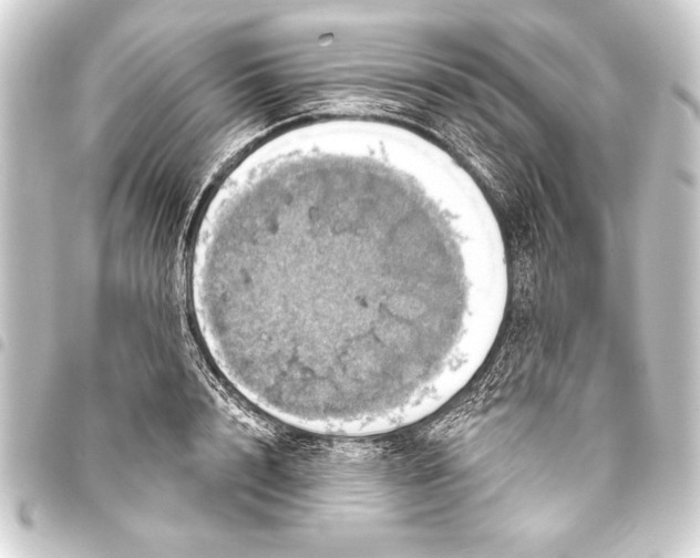 X0000093400848200711020934