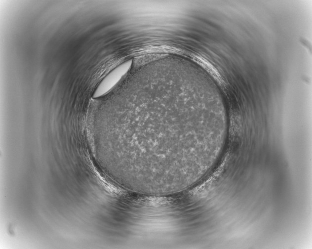 X0000093400849200711020934