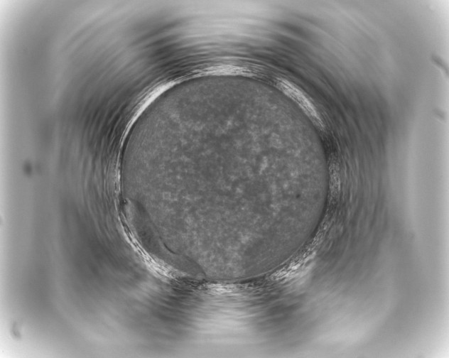 X0000093400852200711020934