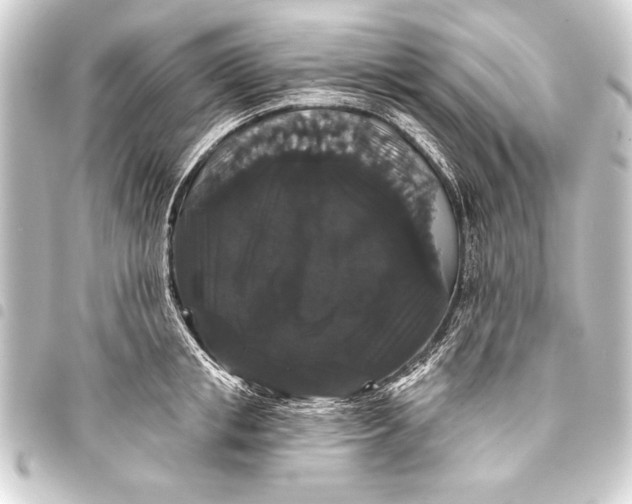 X0000093400853200711020934