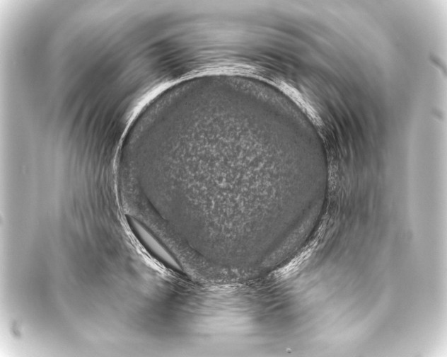 X0000093400854200711020934