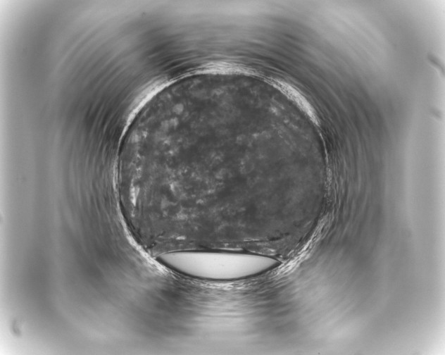 X0000093400855200711020934